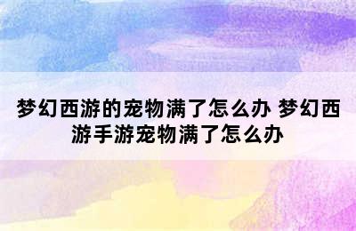 梦幻西游的宠物满了怎么办 梦幻西游手游宠物满了怎么办